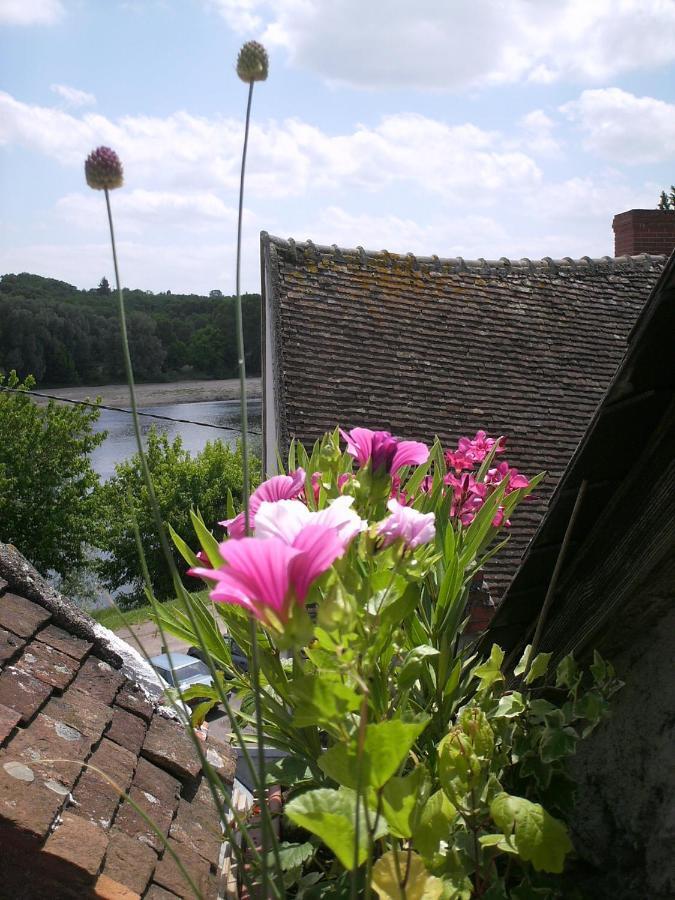 Maison De La Loire La Charite Bagian luar foto